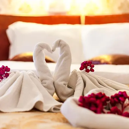 Hotel Mara Business